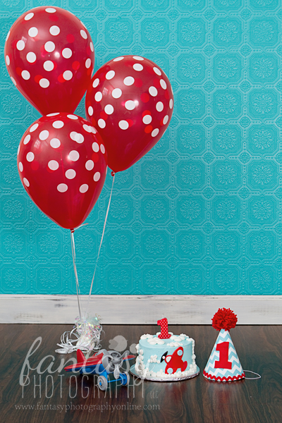 cake smash photographers in winston salem nc | baby photographers winston salem cake smash photographers in winston salem nc | baby photographers winston salem