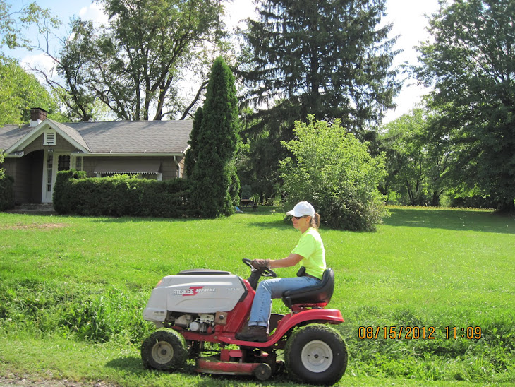 The BLV clerk's daughter on the BLV mower in front of Ted Holland's house on COX ave.