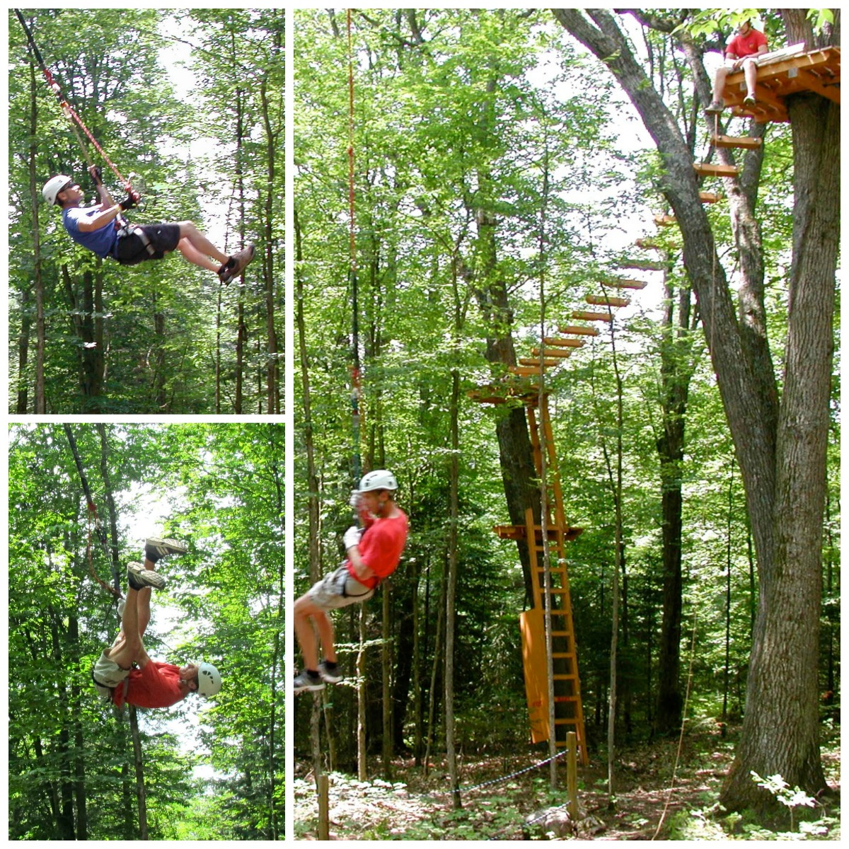 Half Off Treetop Cannopy Tour Half Off Treetop Cannopy Tour