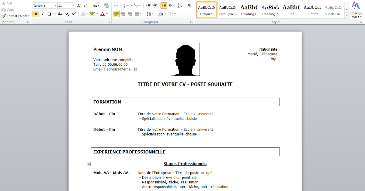exemple cv word simple