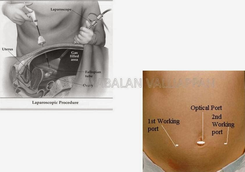 Jaya Balan Women's Health & Fertility Clinic