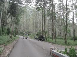 patung singa cipularang