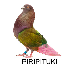 PIRIPITUKI.