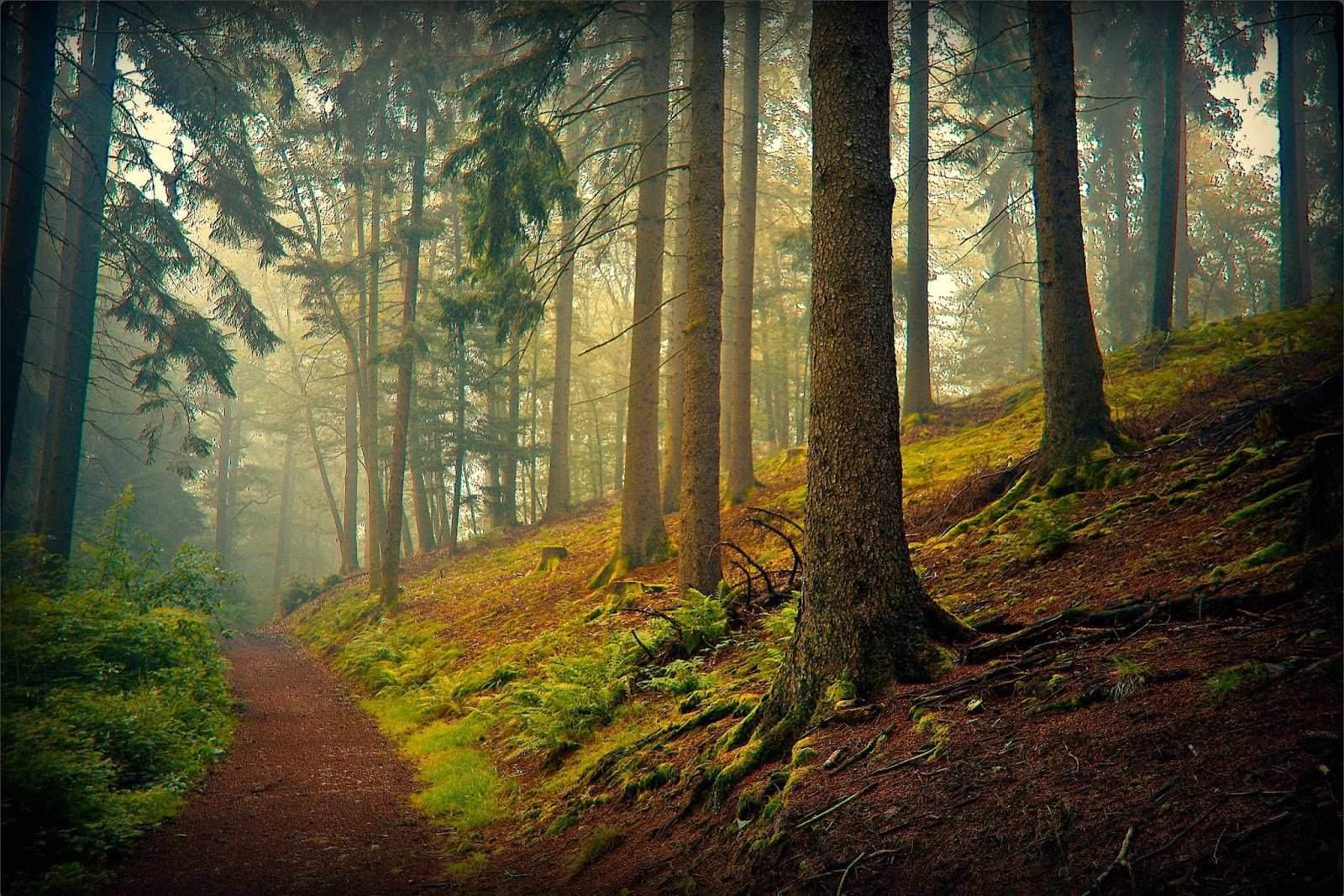 BANCO DE IMÁGENES GRATIS 24 fotografías de paisajes naturales del