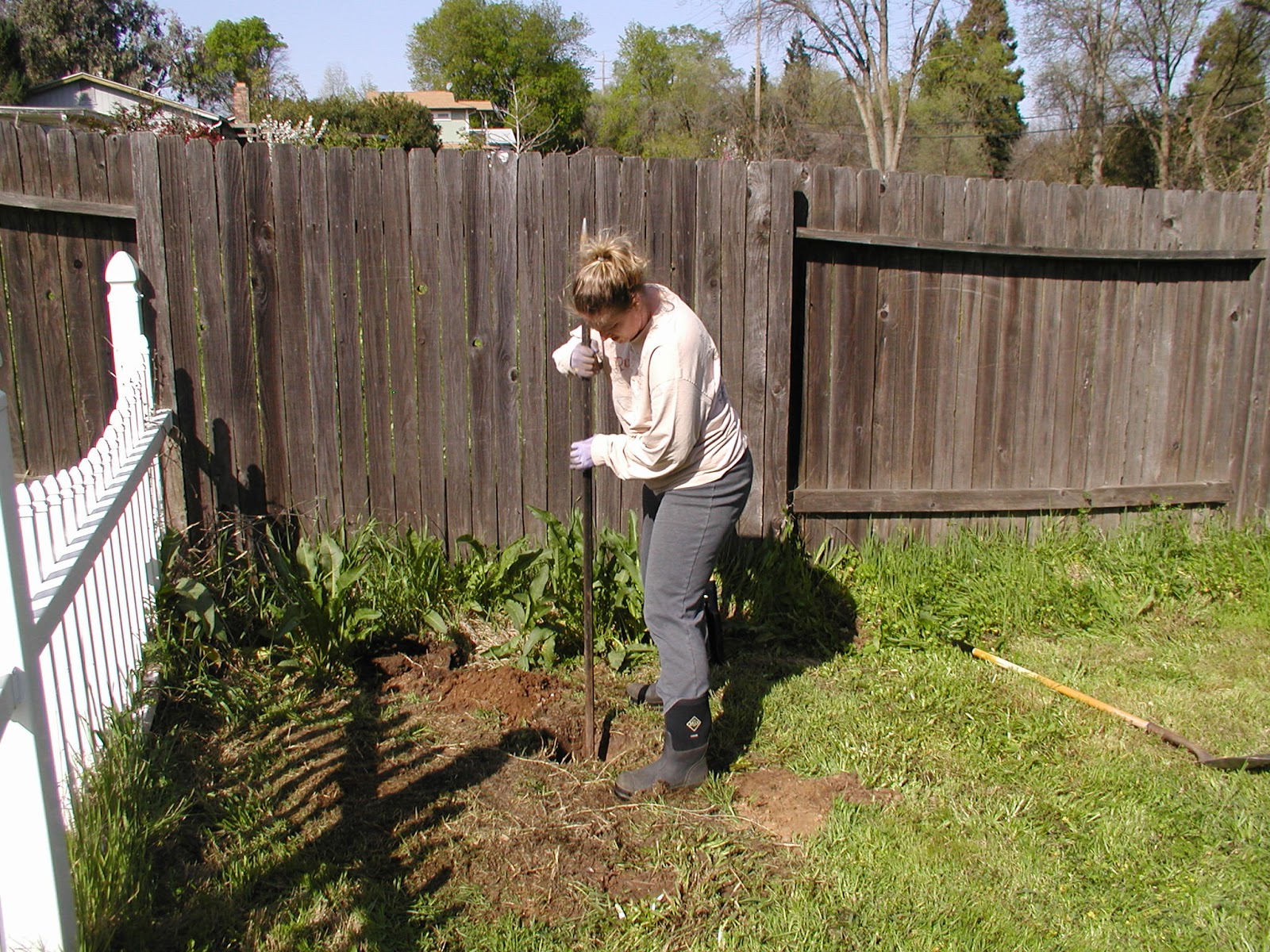 Tuesday Mornings: A Backyard Clothesline