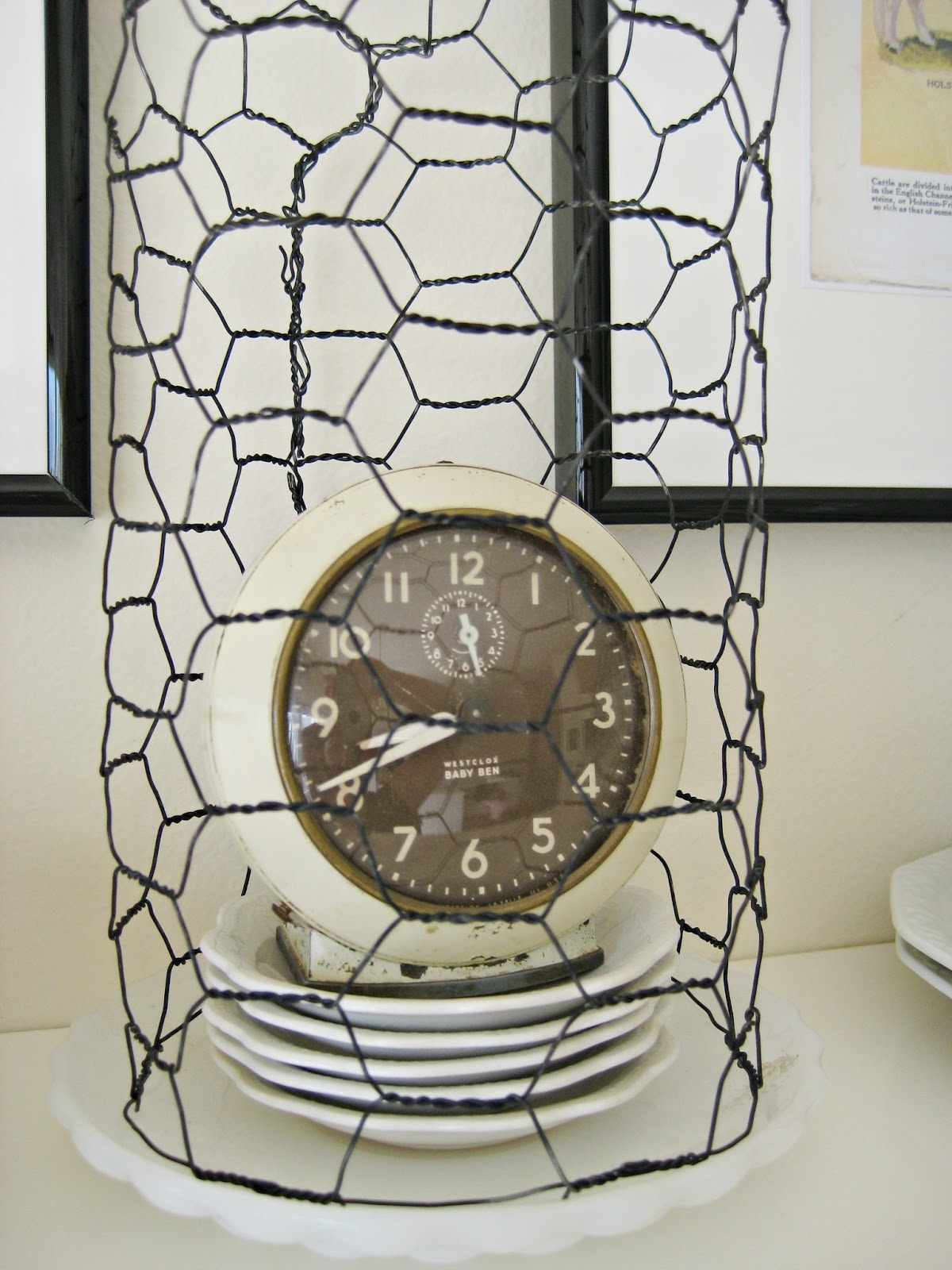 Happy At Home Chicken Wire Cloche