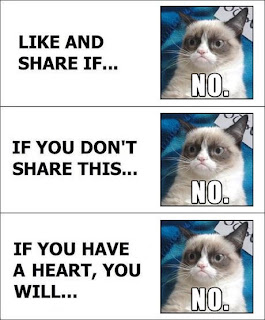 Grumpy Cat