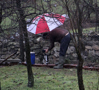 Taking the picture in the pouring rain Taking the picture in the pouring rain