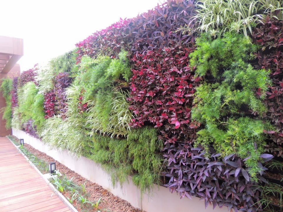 jardim vertical terraco:jardim vertical em muro jardim vertical em pátio jardim vertical jardim vertical terraco:jardim vertical em muro jardim vertical em pátio jardim vertical
