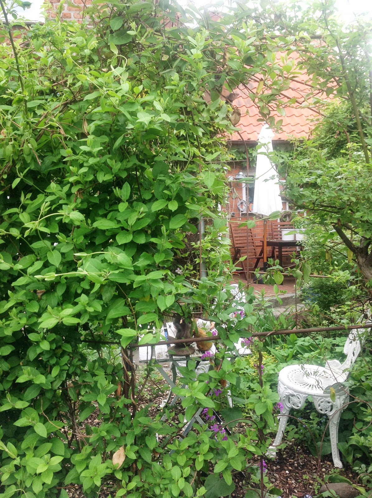 Das Blaue Haus Mai 2013