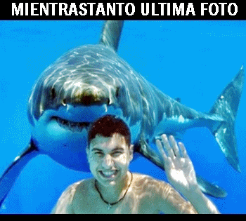 mientrastanto tiburon ultima foto