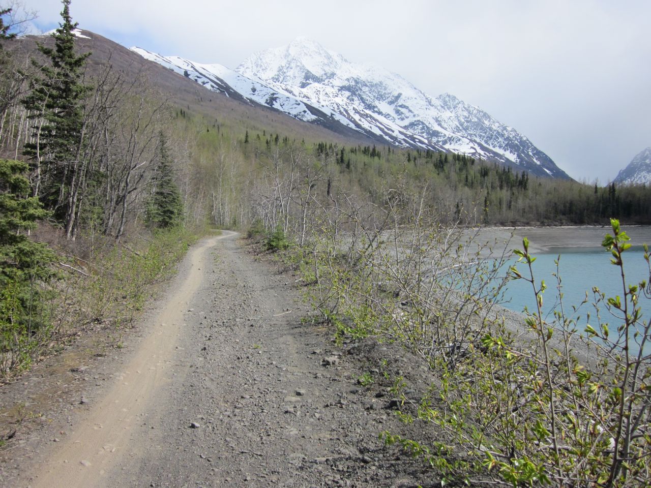 3000 miles north & back Eklutna.