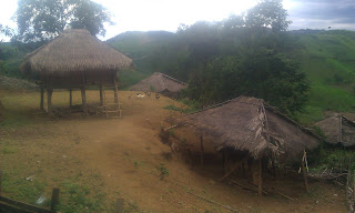 Размещенное изображение