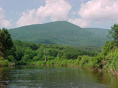 Manchester Vermont and the Mountains Lodging