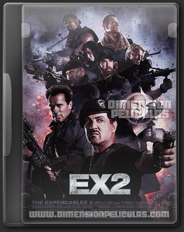 Sinhgad Management Institutes - Placement