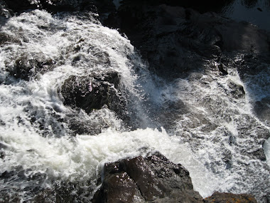 Gooseberry Falls