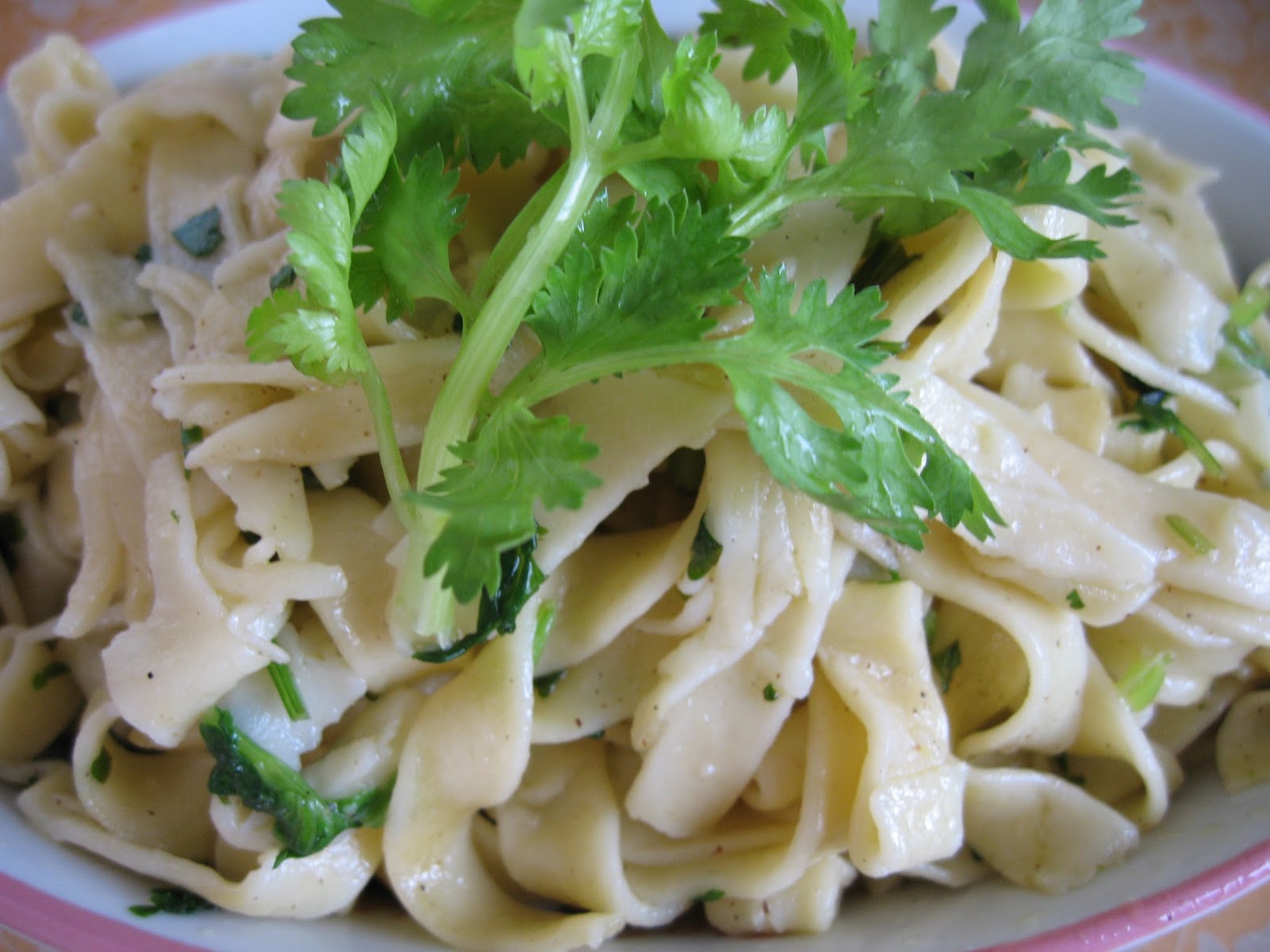 Sumptuous Flavours Buttery Lemon Parsley Noodles (Ree Drummond)