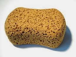 Consider the Sponge