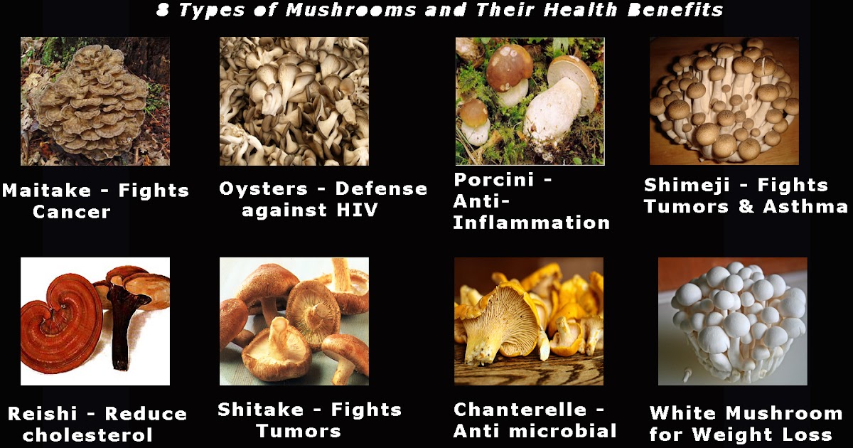 8 Types of Mushrooms & its Benefits YummyAndHealthyFood