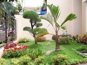 desain rumah bagian belakang terbaik