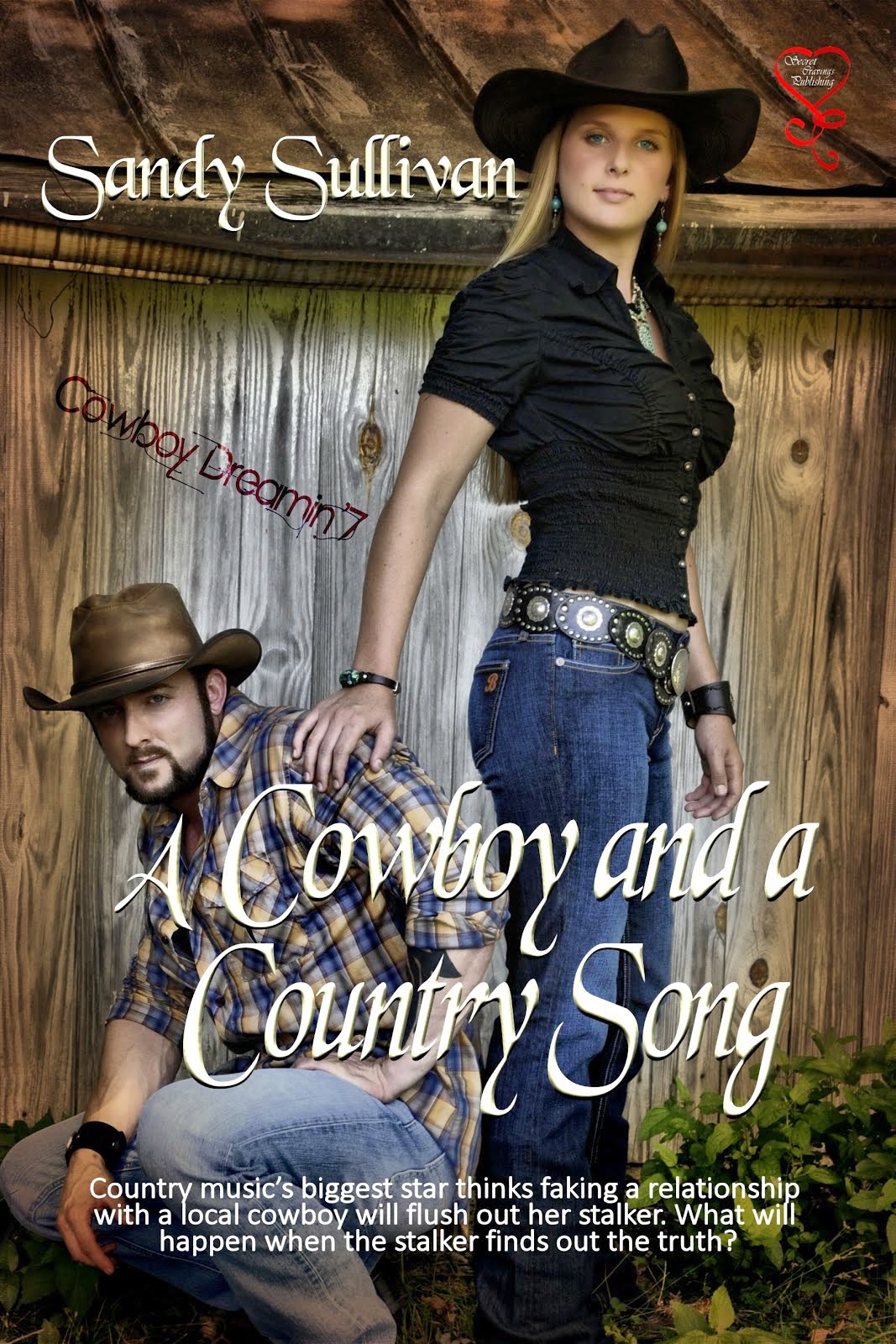 A Cowboy and a Country Song