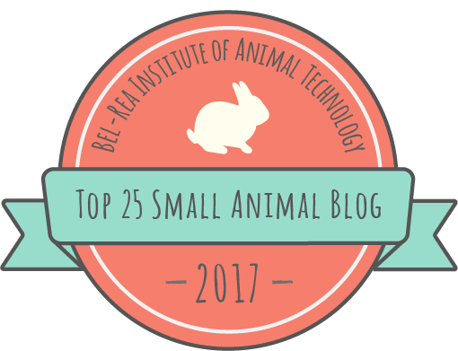 2017 Small Animal Blog Award