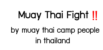 Learn muay thai fight by muay thai camp people in thailand