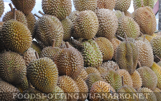 Durian Pekanbaru Durian Pekanbaru