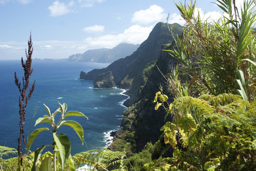 Krzysztof Gierak Blog Website Madera I Funchal Pogoda W Styczniu Lutym I Marcu Temperatury Klimat Opady Wilgotnosc Prognoza Pogody Wykresy I Tabele Klimatyczne