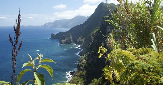 Krzysztof Gierak Blog Website Madera I Funchal Pogoda Klimat Temperatury Opady Wykresy Aktualna Prognoza