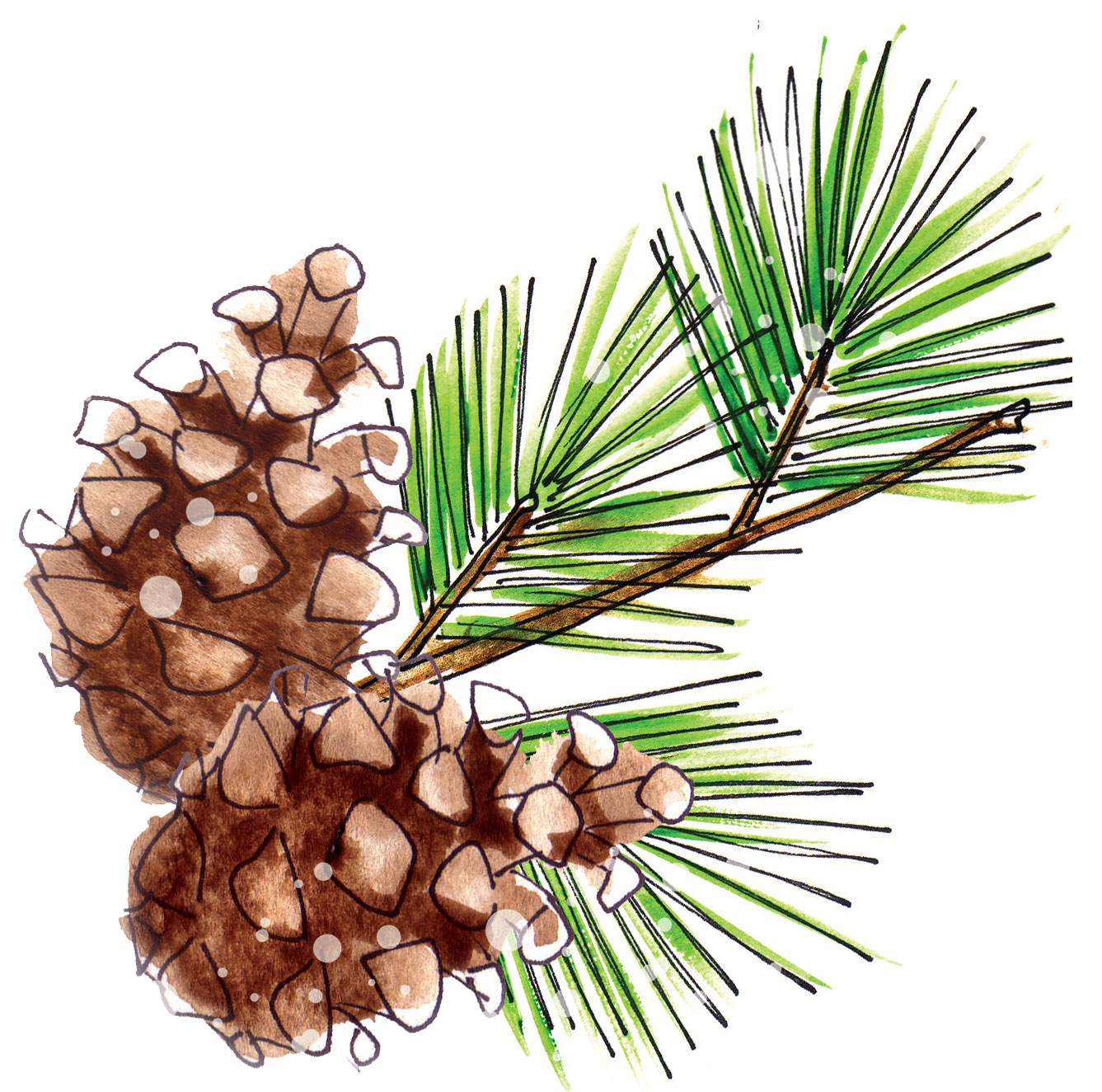 pine cone artwork