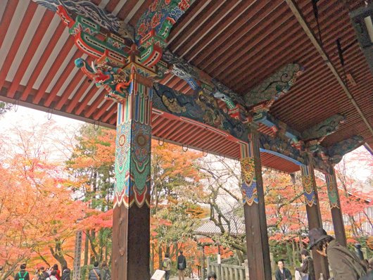 屋内から紅葉,The vermilion of a temple and the autumnal color of leaves