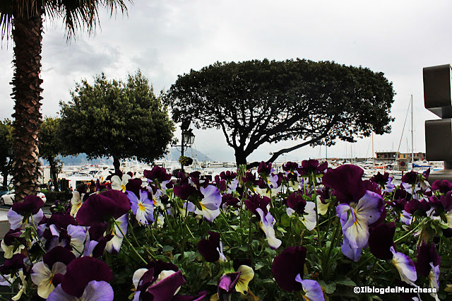 John Walker & Sons Voyager a Portofino