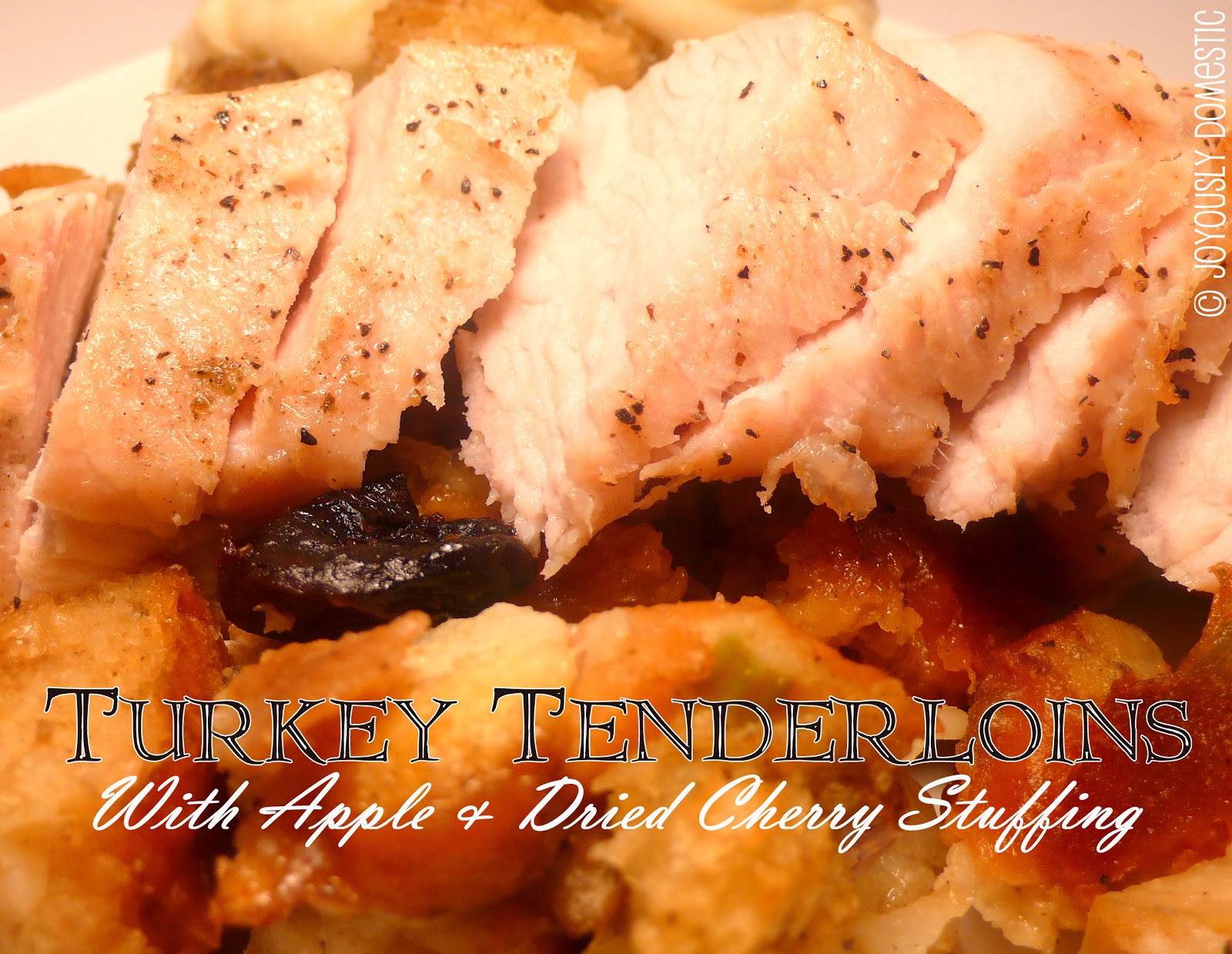 Joyously Domestic Turkey Tenderloins with Apple and Dried Cherry Stuffing