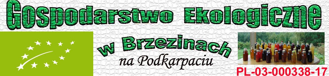 Gospodarstwo Ekologiczne w Brzezinach