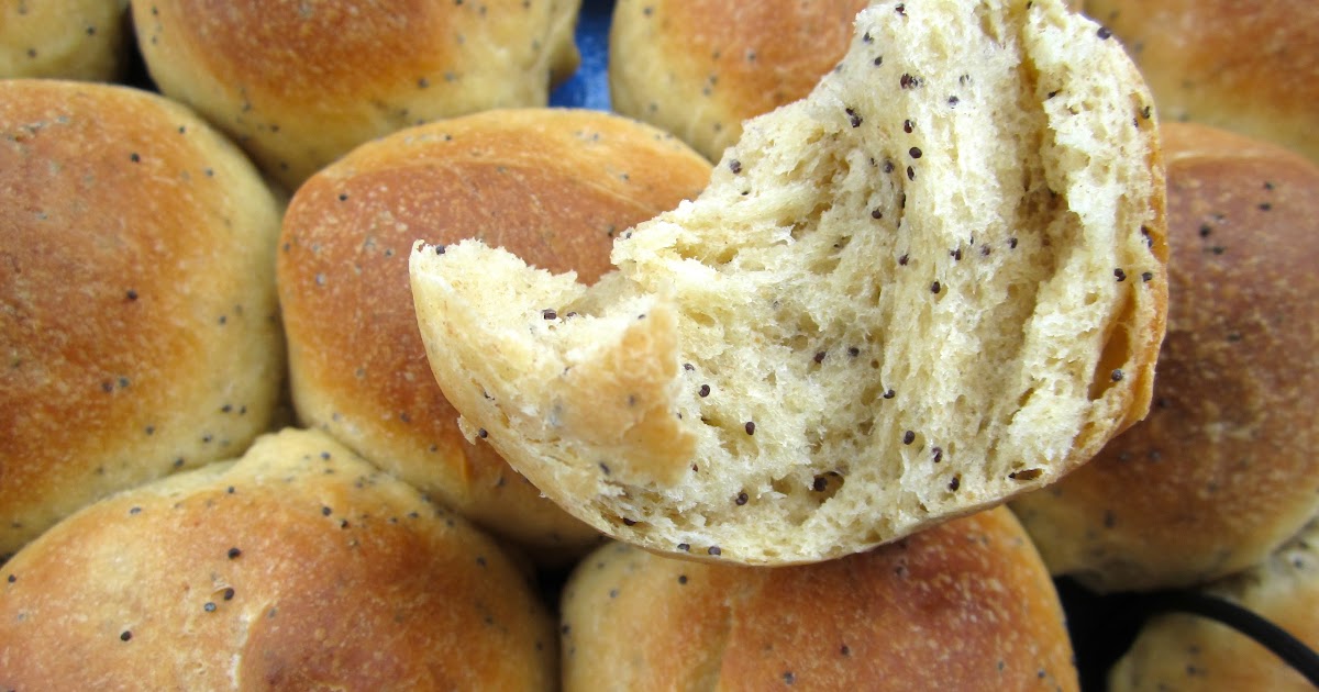 Brot & Bread POPPY SEED DINNER ROLLS