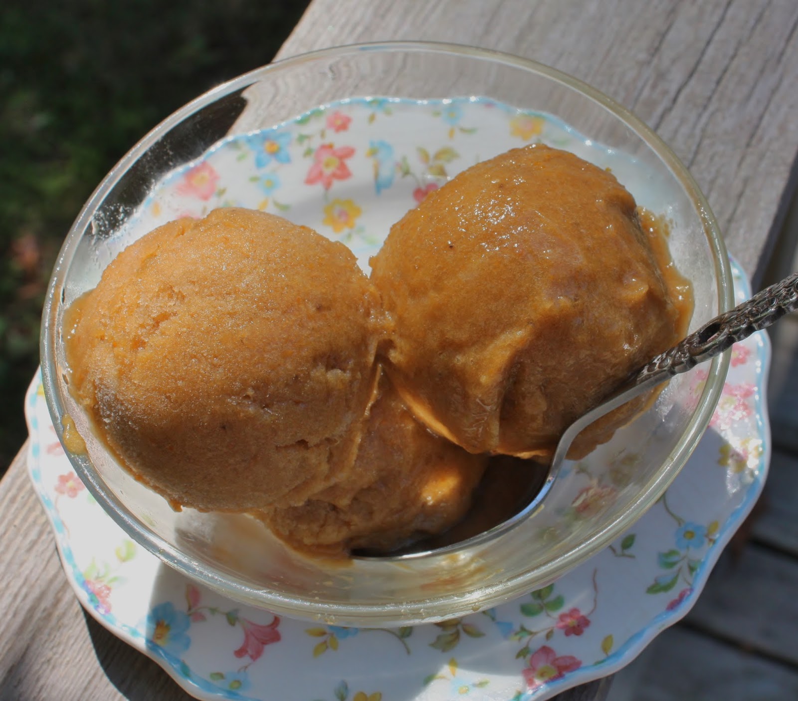 Best of Long Island and Central Florida Chris's Healthy Pumpkin "Ice