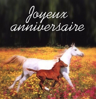Carte anniversaire cheval