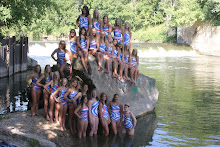 2011 Viking Girls Swimming & Diving Team