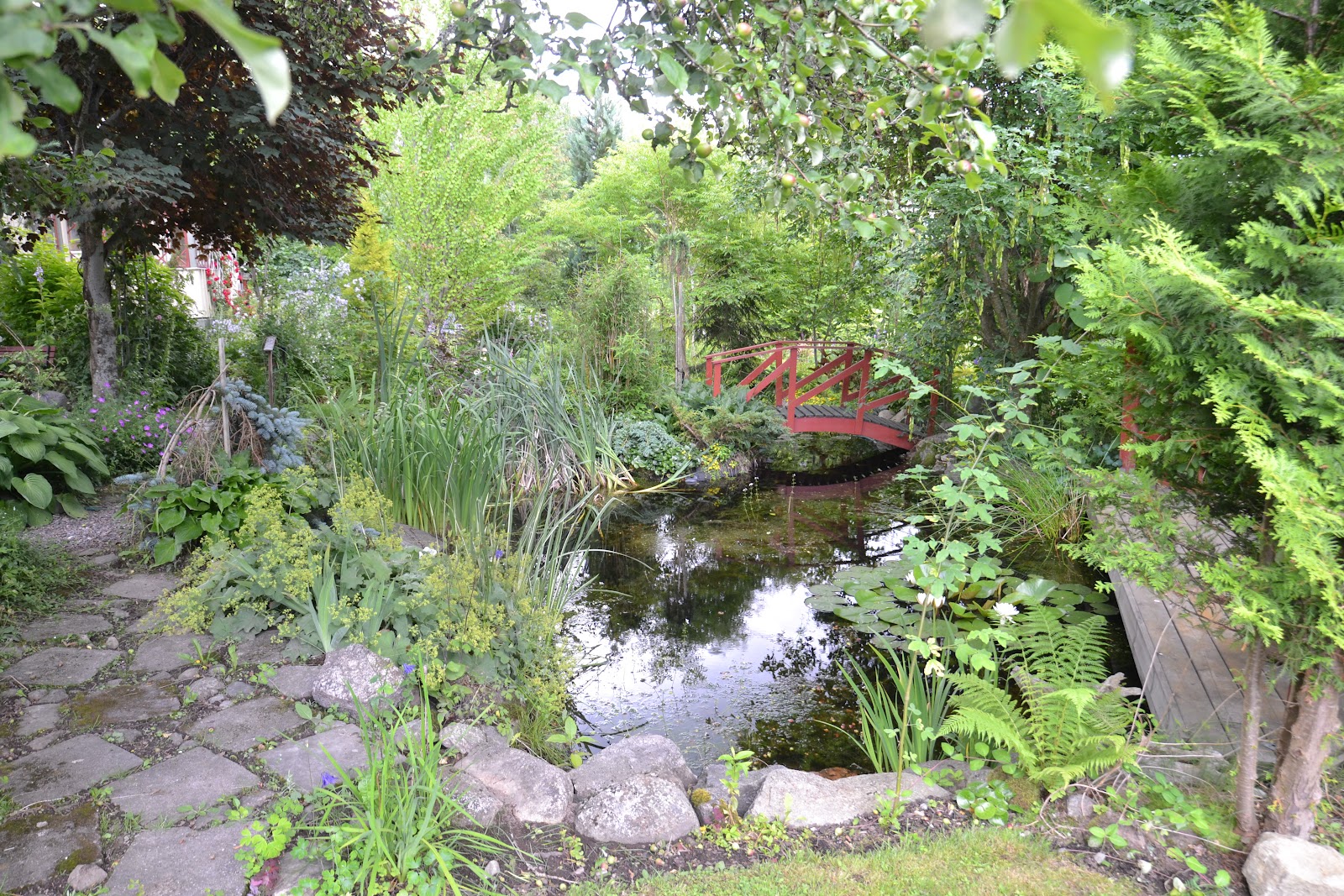 Blomsterbo: juli 2012