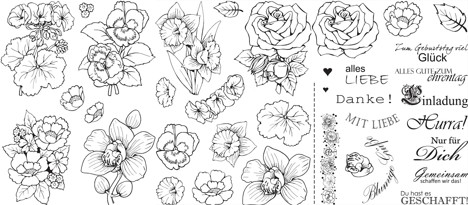 Dolphine S Blog Blumen Bei Balisa