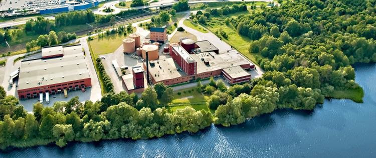bakjäst till häst bakjäst till häst