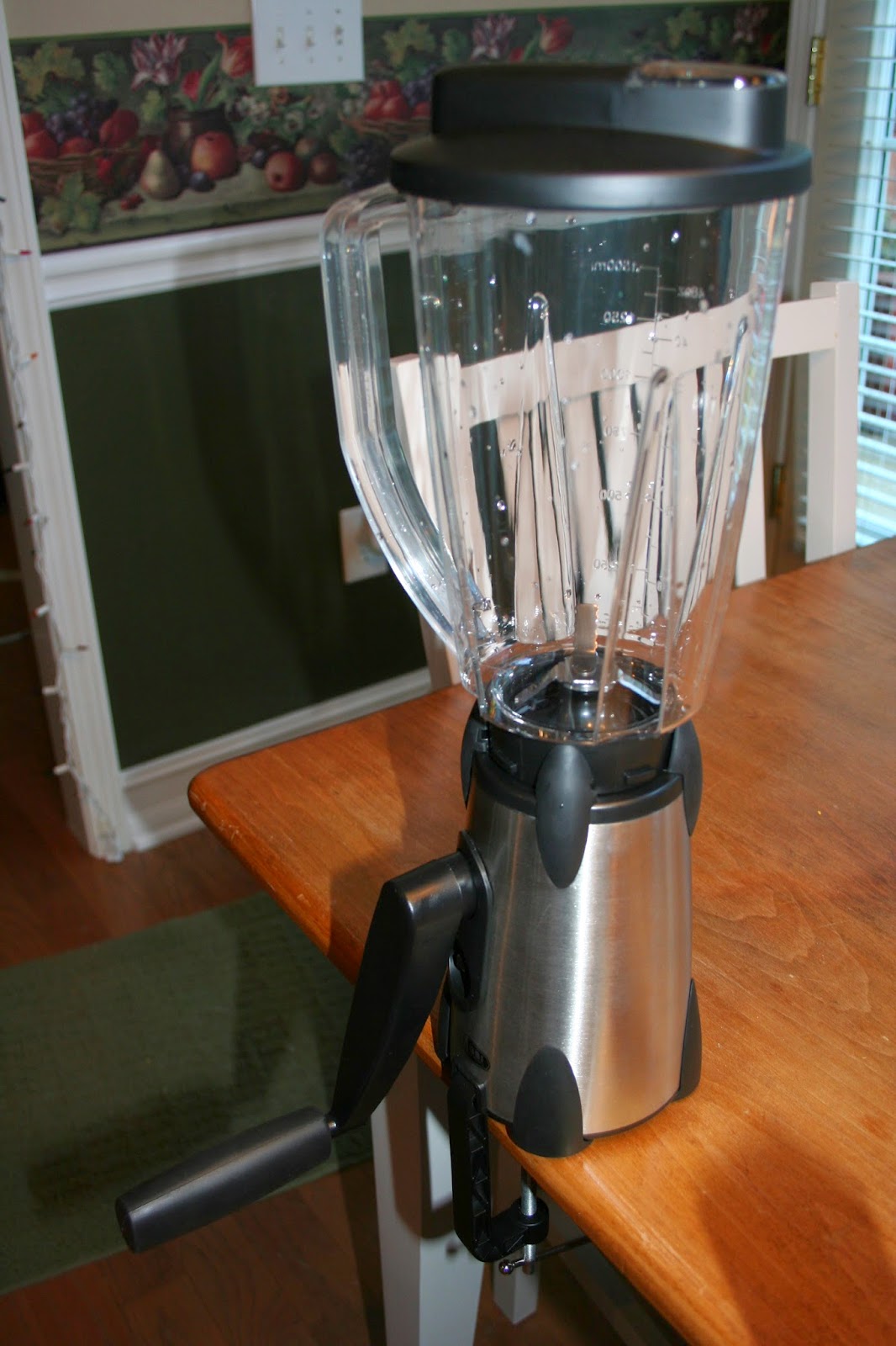 Whispers From Elizabeth My New Vortex Hand Crank Blender