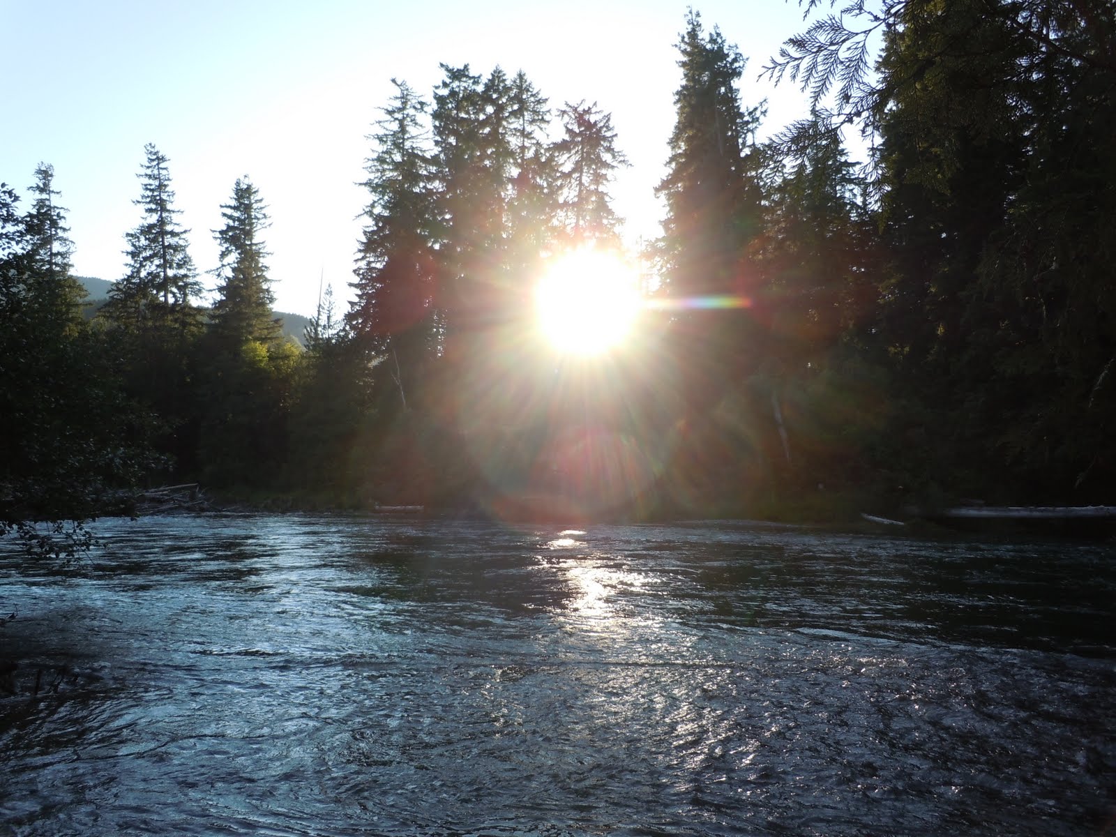 Allison's Adventure Log Iron Creek Campground