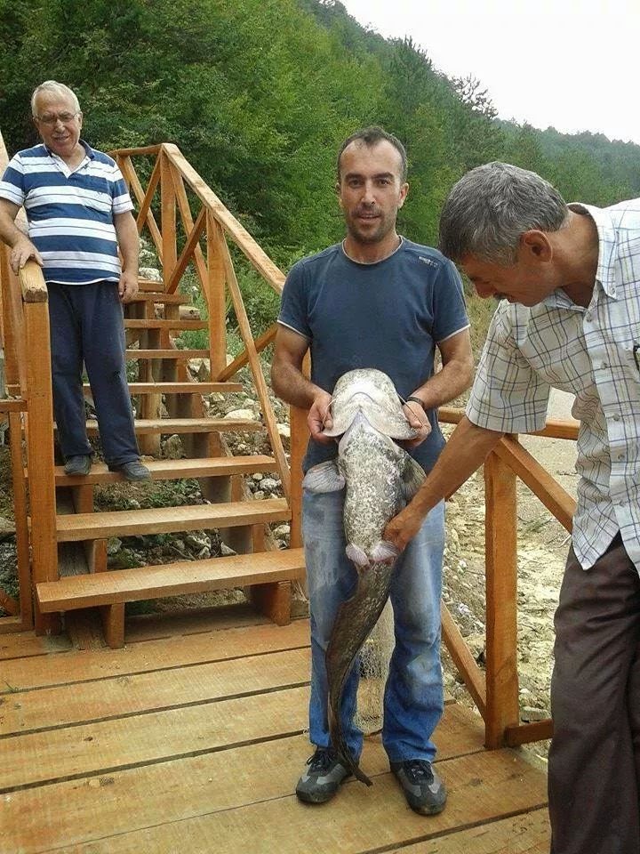 Küçüksu Köyü Karagöl�den çıkan yayın balığı.