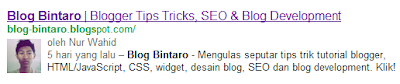 Menampilkan Foto Profil Blog/Google+ di Hasil Pencarian Google