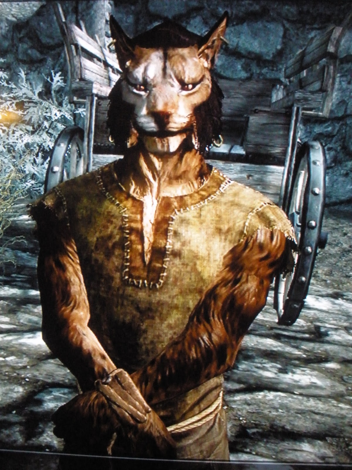 Your Guide to Skyrim Tips and Hints The Gamers Dungeon