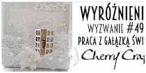 Wyróżnienie-6.01