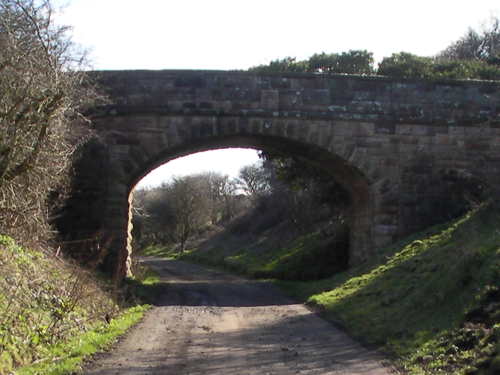 Mulgrave Community Research Project Various surveys have been