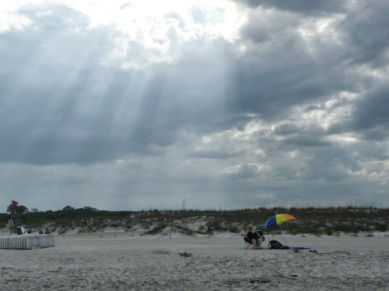 2e JOUR ICI, SUR LA PLAGE DU ANASTASIA STATE PARK TOUT À CÔTÉ DE CAMPING_______________